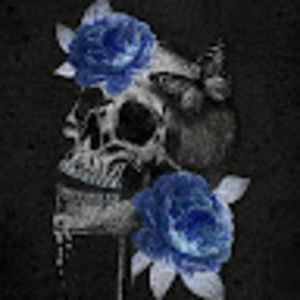 Meet your Posher, Roberto